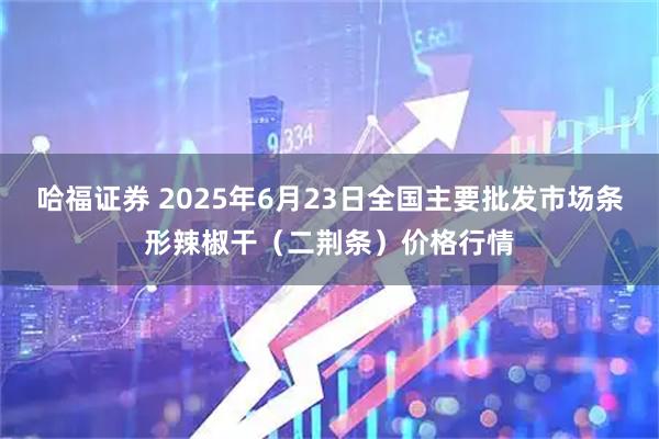 哈福证券 2025年6月23日全国主要批发市场条形辣椒干（二荆条）价格行情