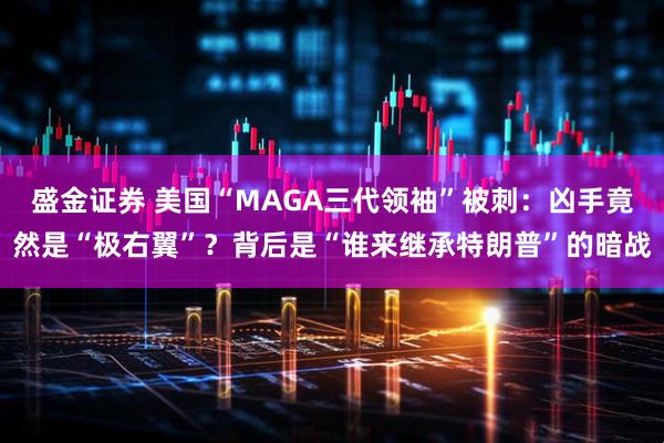 盛金证券 美国“MAGA三代领袖”被刺：凶手竟然是“极右翼”？背后是“谁来继承特朗普”的暗战